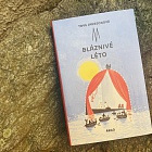 kniha Bláznivé léto (plátěná vazba)