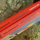 kniha Bláznivé léto (plátěná vazba)