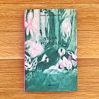 kniha Velká povodeň (plátěná vazba)