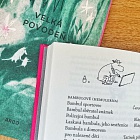 kniha Velká povodeň (plátěná vazba)